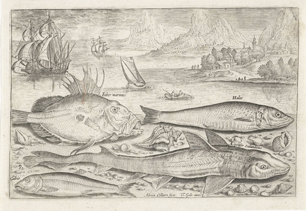 Sahilde dört balık Balık tutma (dizi adı) Piscium vivae simgeleri (seri başlığı) by Adriaen Collaert