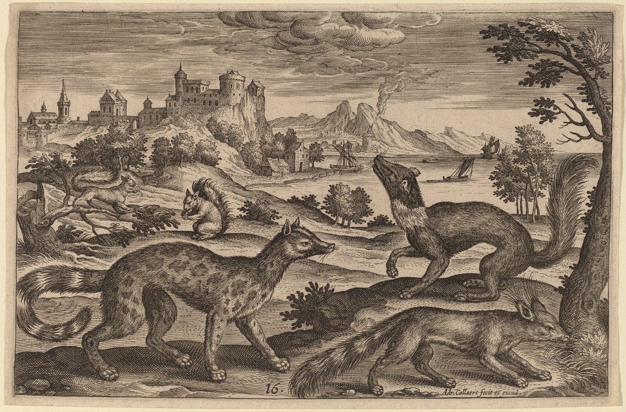 Gelincikler ve Sincaplar by Adriaen Collaert