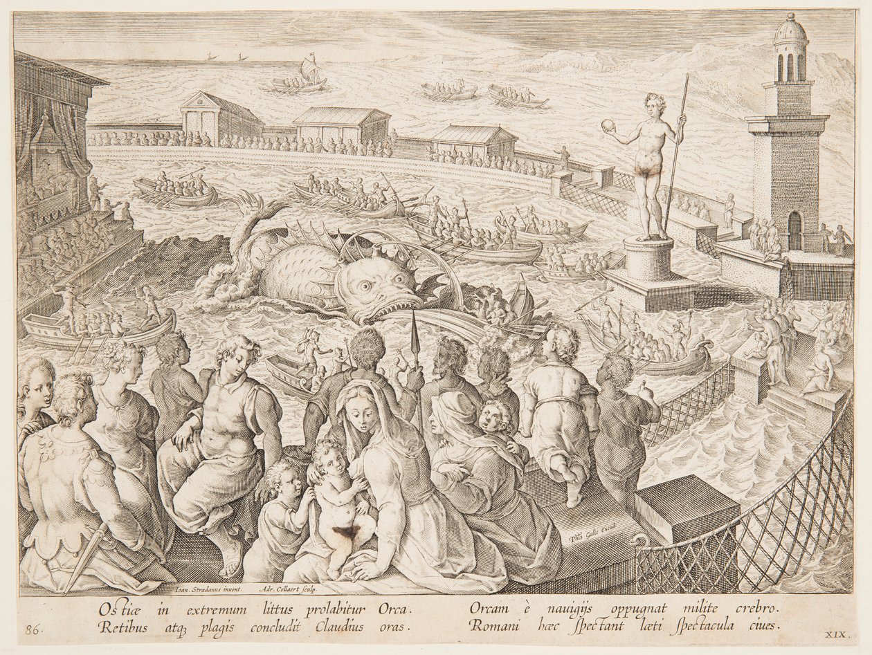 Ostia'daki limanda İmparator Claudius tarafından yapılan Balina Avı, pl. Vahşi, Kuşlar, Balık serisinde 19 by Adriaen Collaert