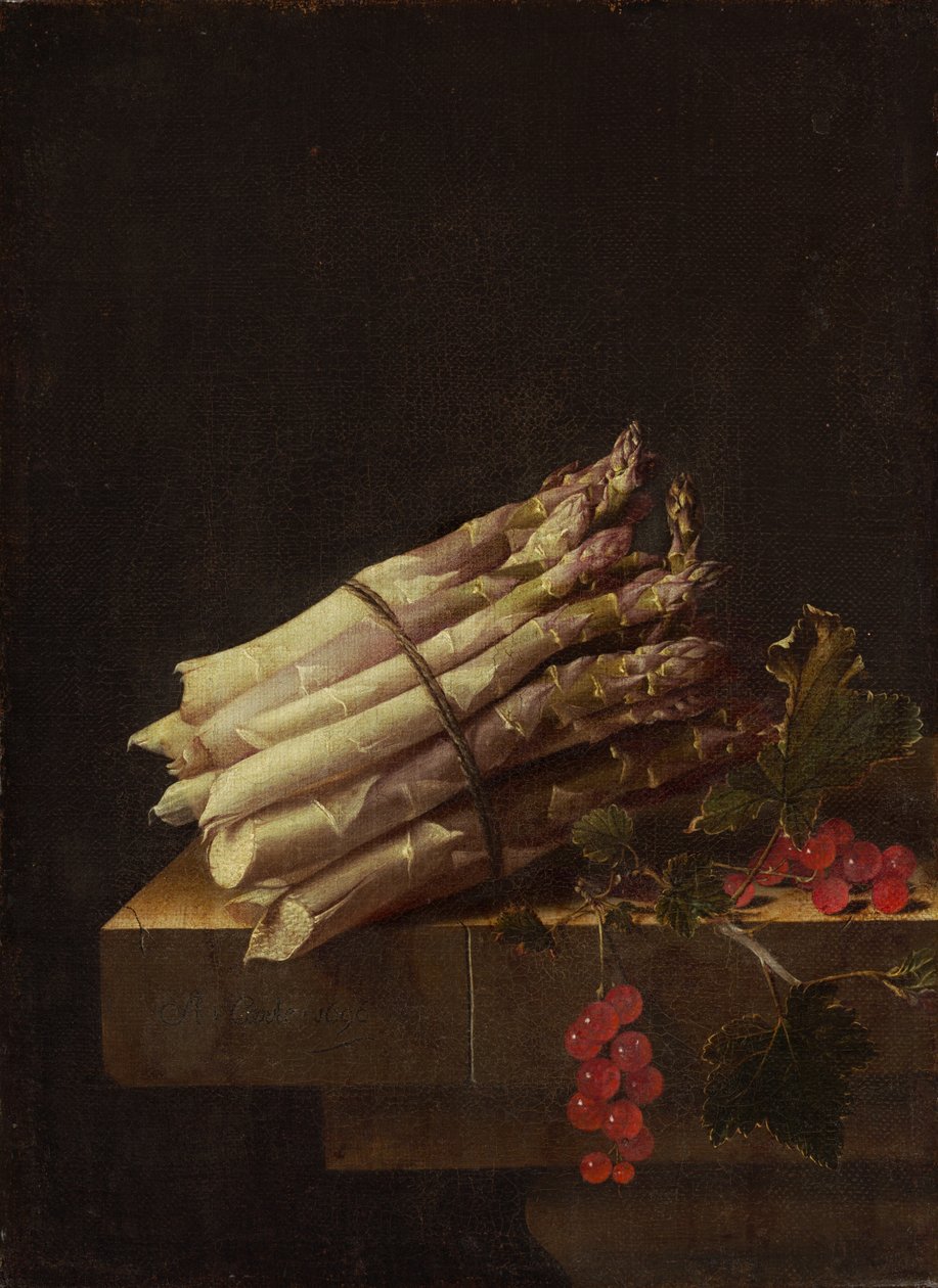 Kuşkonmaz ve Frenk Üzümü ile Natürmort, 1696. by Adrian Coorte
