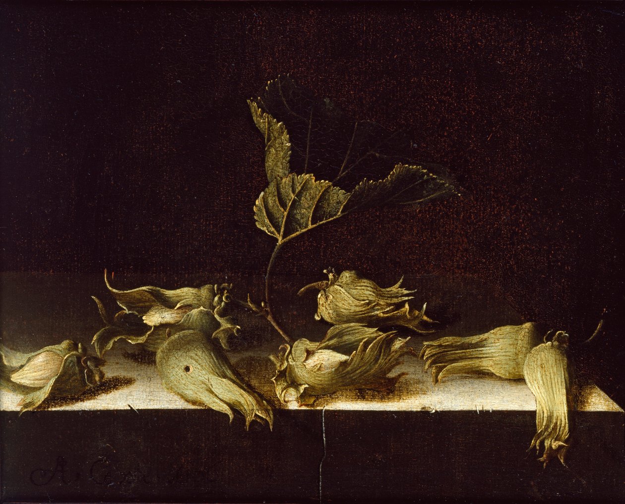 Fındıklı Natürmort, 1696 by Adrian Coorte