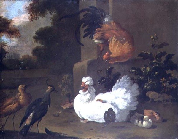 Bir Ruft, bir Lapwing ve bir montaj bloğu tarafından tavuklar by Adriaen van Oolen