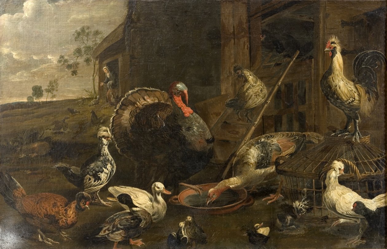Tavuklar, Ördekler ve Hindi Horozu by Adriaen van Utrecht