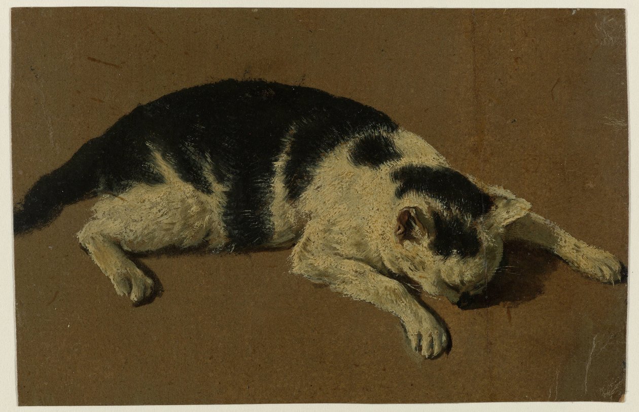 Kafası ön bacaklarının arasında yatan kedi by Adriaen van de Velde (attributed to)