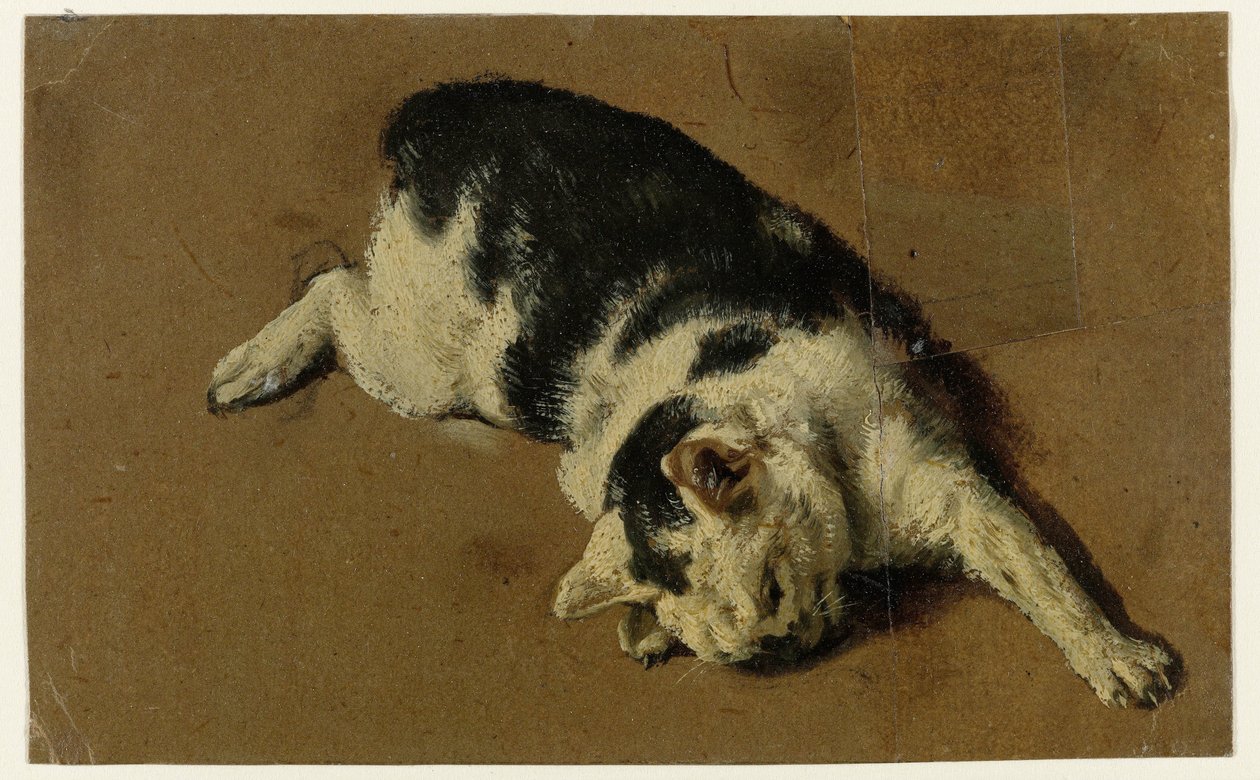 Kedi yan yatmış, sol ön bacağı uzatılmış by Adriaen van de Velde (attributed to)