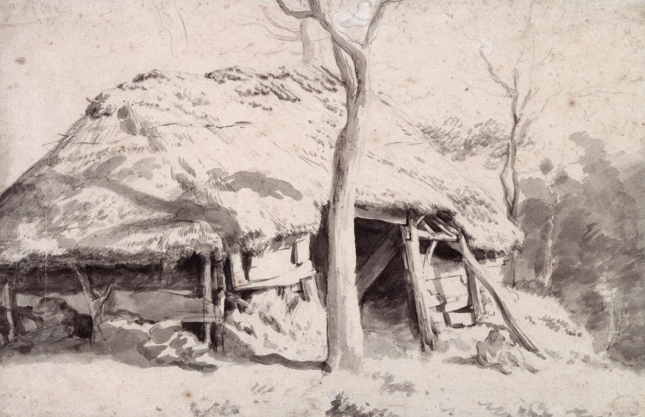 Ormanda Bir Koyun Ağı (tebeşir ve yıkama) by Adriaen van de Velde