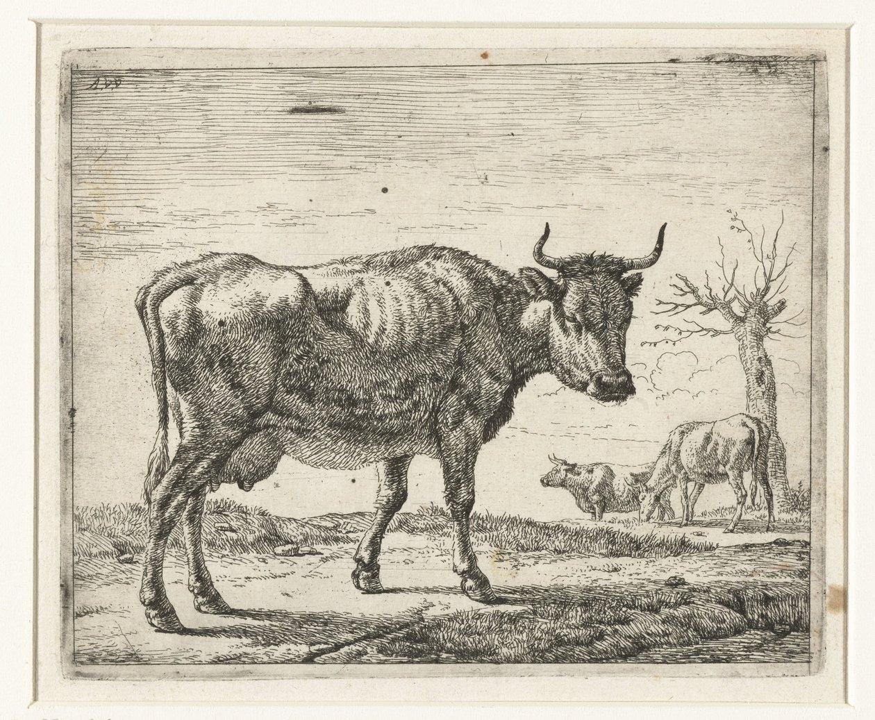 üç inek Farklı hayvanlar (dizi başlığı) by Adriaen van de Velde