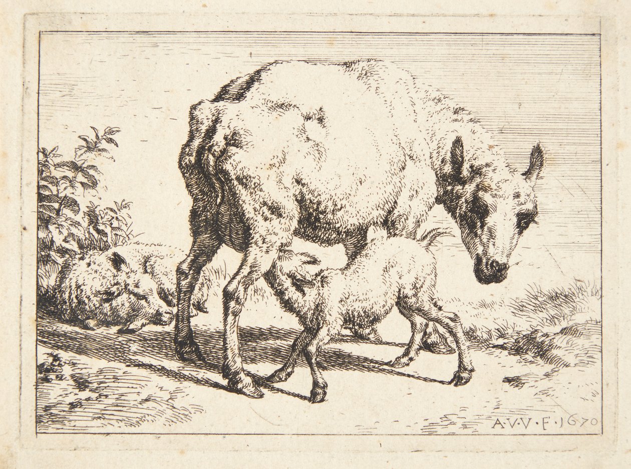 Koyun ve iki kuzu by Adriaen van de Velde