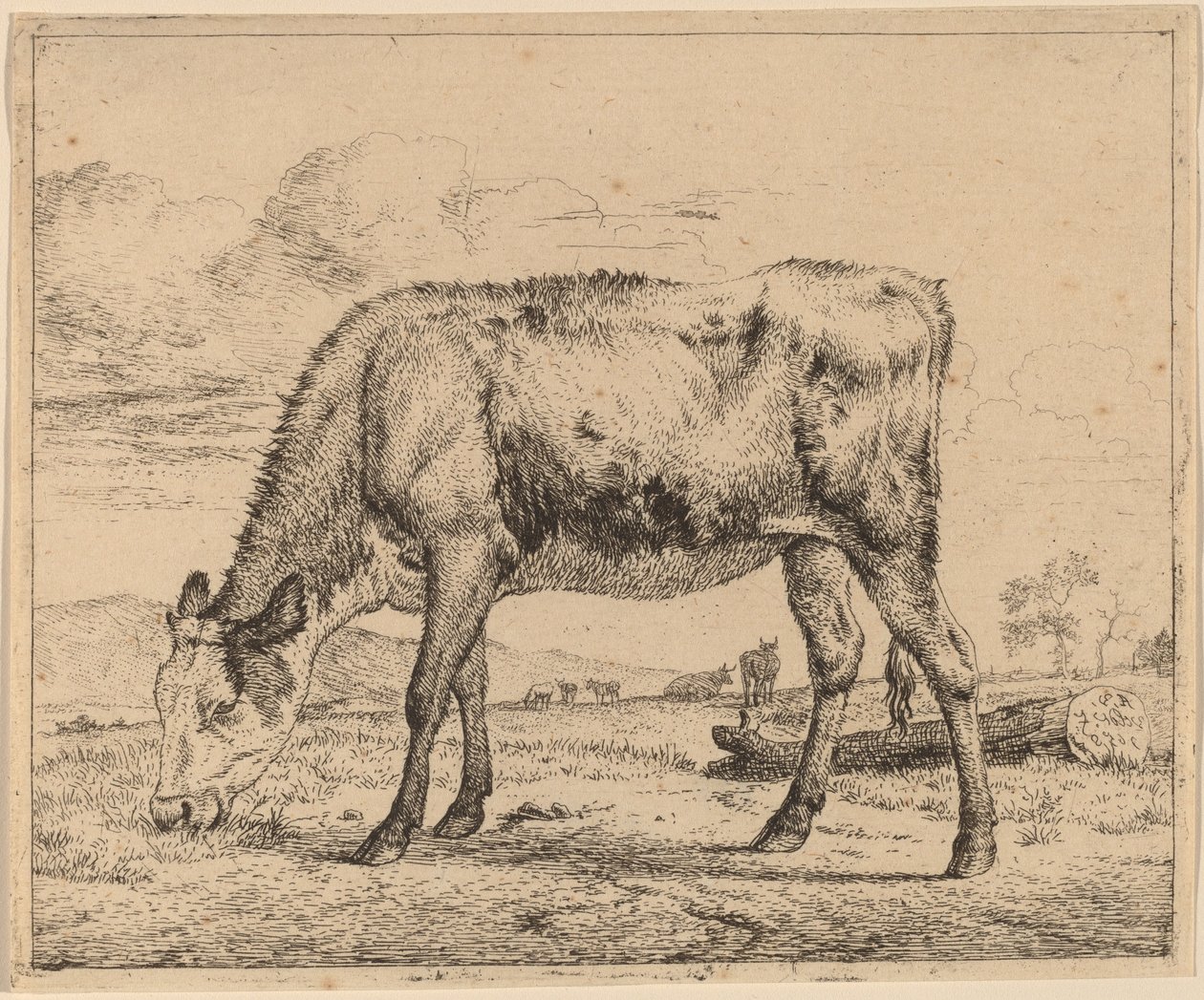 buzağı otlatma by Adriaen van de Velde