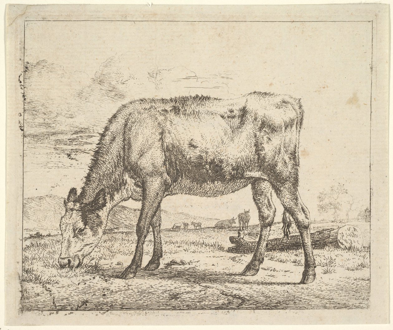 Farklı Hayvanlardan Otlayan Buzağı, 1658. by Adriaen van de Velde