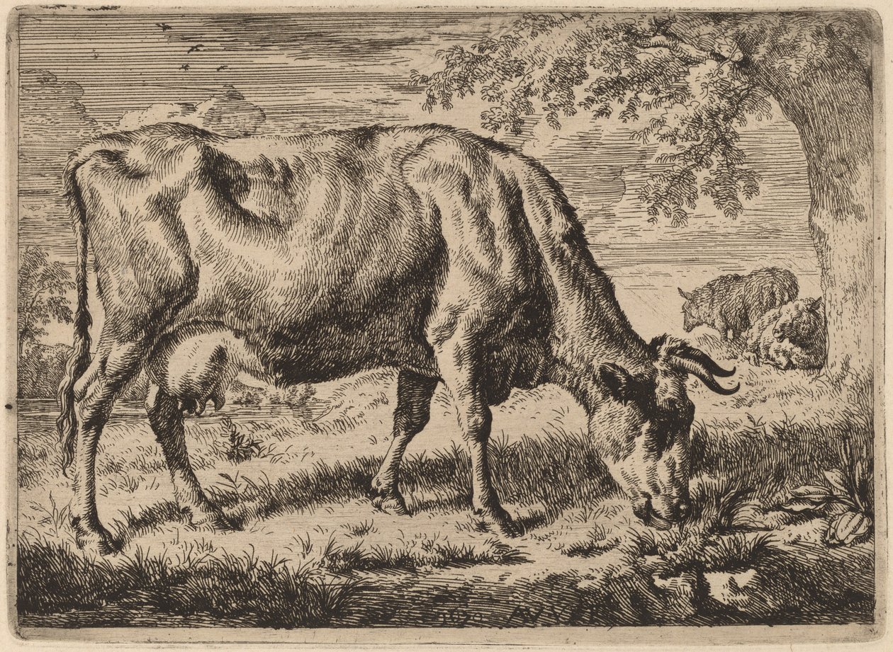 İki Koyunlu Otlayan İnek by Adriaen van de Velde