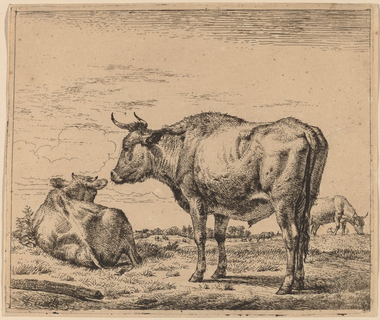 ayakta boğa by Adriaen van de Velde