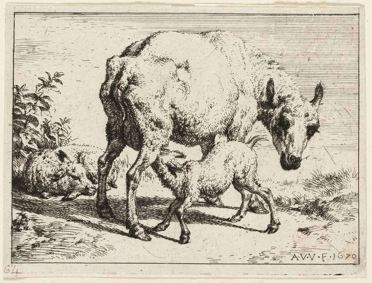 Lamba by Adriaen van de Velde
