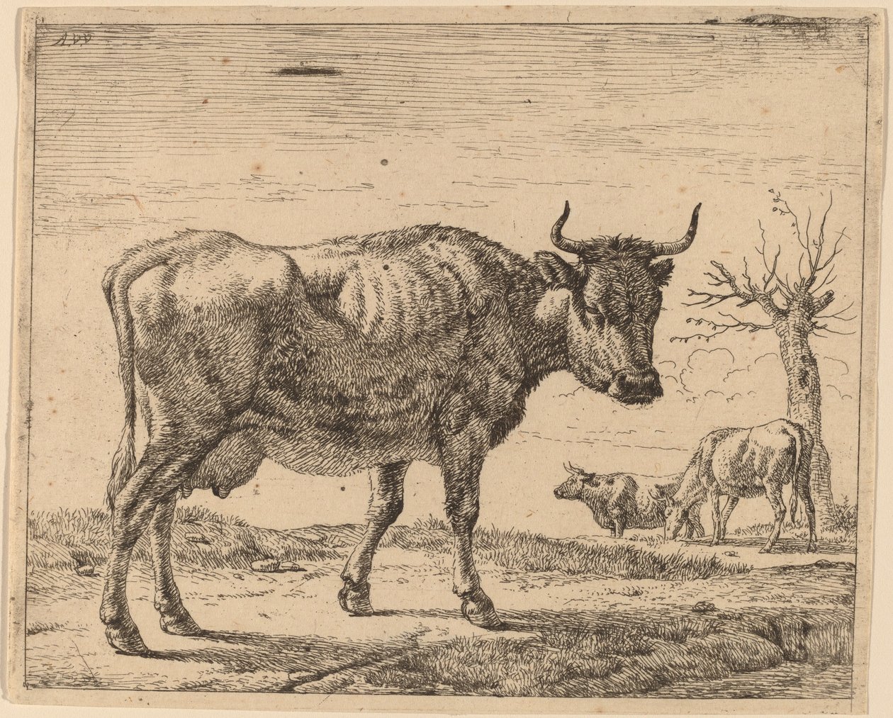 üç inek by Adriaen van de Velde