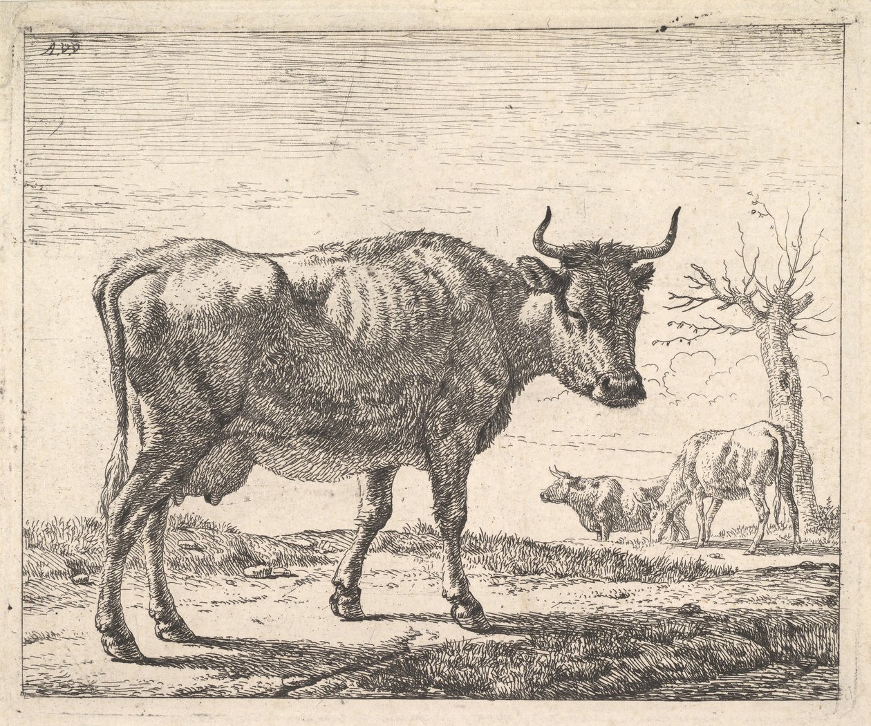 Üç İnek. by Adriaen van de Velde