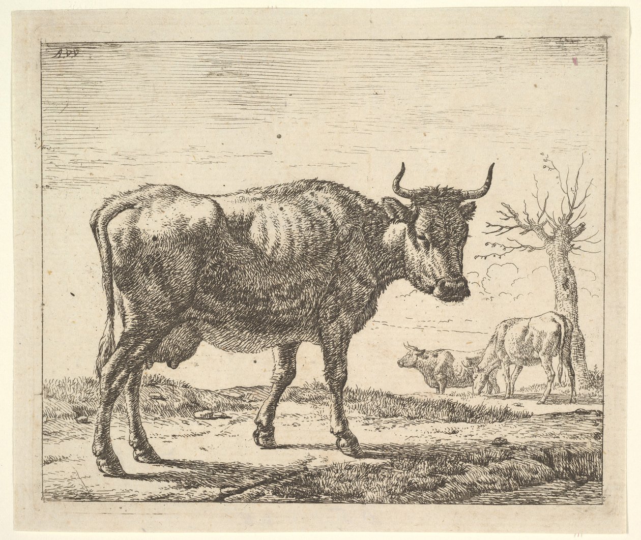 Farklı Hayvanlardan Üç İnek. by Adriaen van de Velde