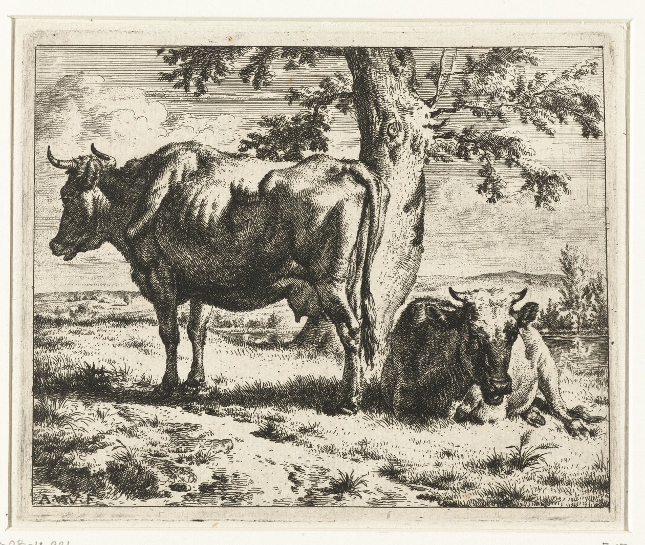 Bir ağacın altında iki inek İnekler ve Koyunlar (dizi adı) by Adriaen van de Velde