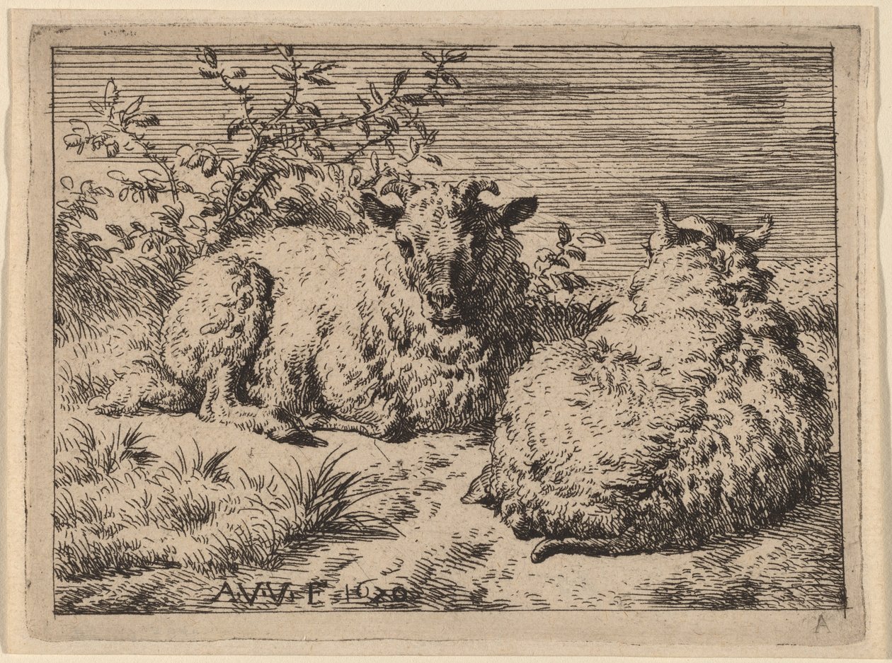 İki Yaslanmış Koyun by Adriaen van de Velde