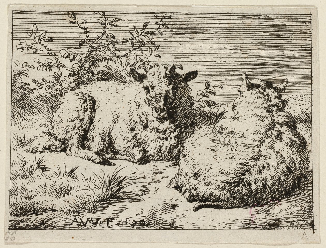 by Adriaen van de Velde