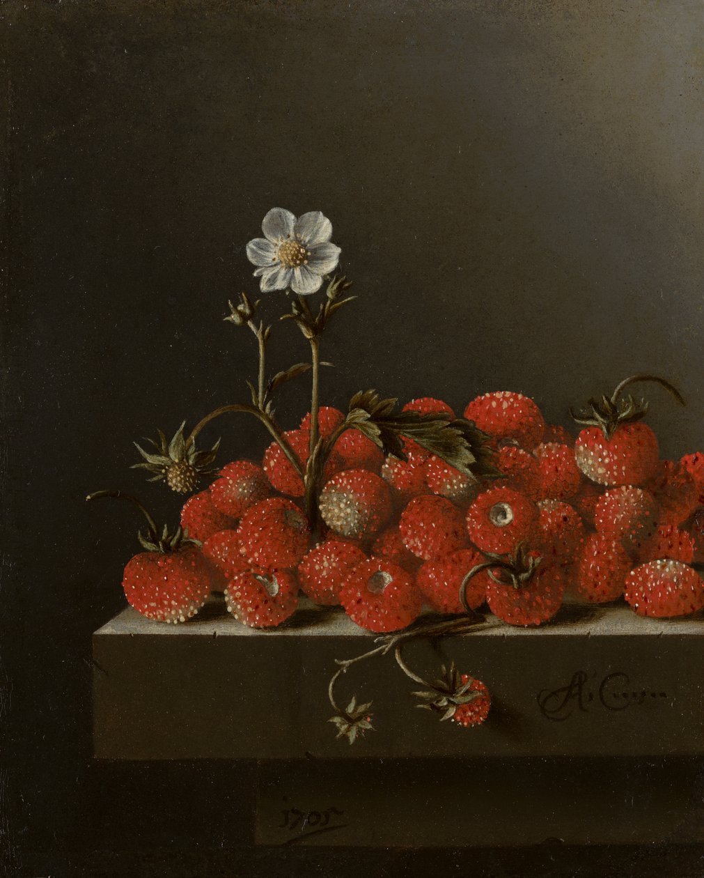 Yabani Çilekli Natürmort, 1705 (panel üzerine kağıt üzerine yağlı boya) by Adrian Coorte
