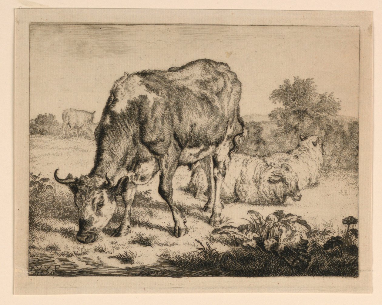 Öküz ve Üç Koyun by Adrian van de Velde