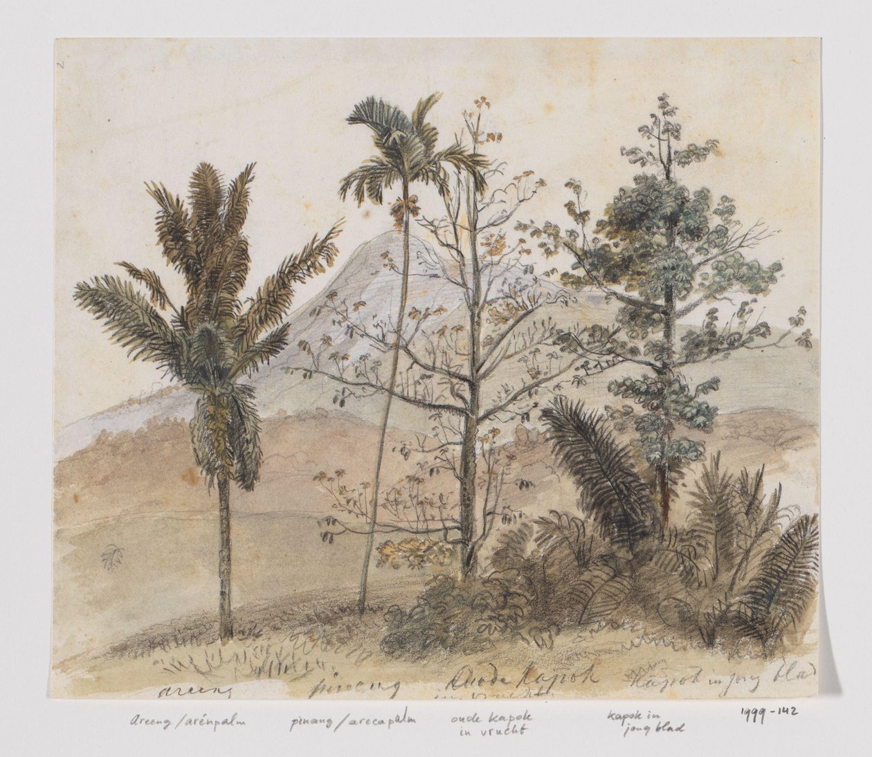 Java dağ manzarasındaki ağaçlar by Adrianus Johannes Bik