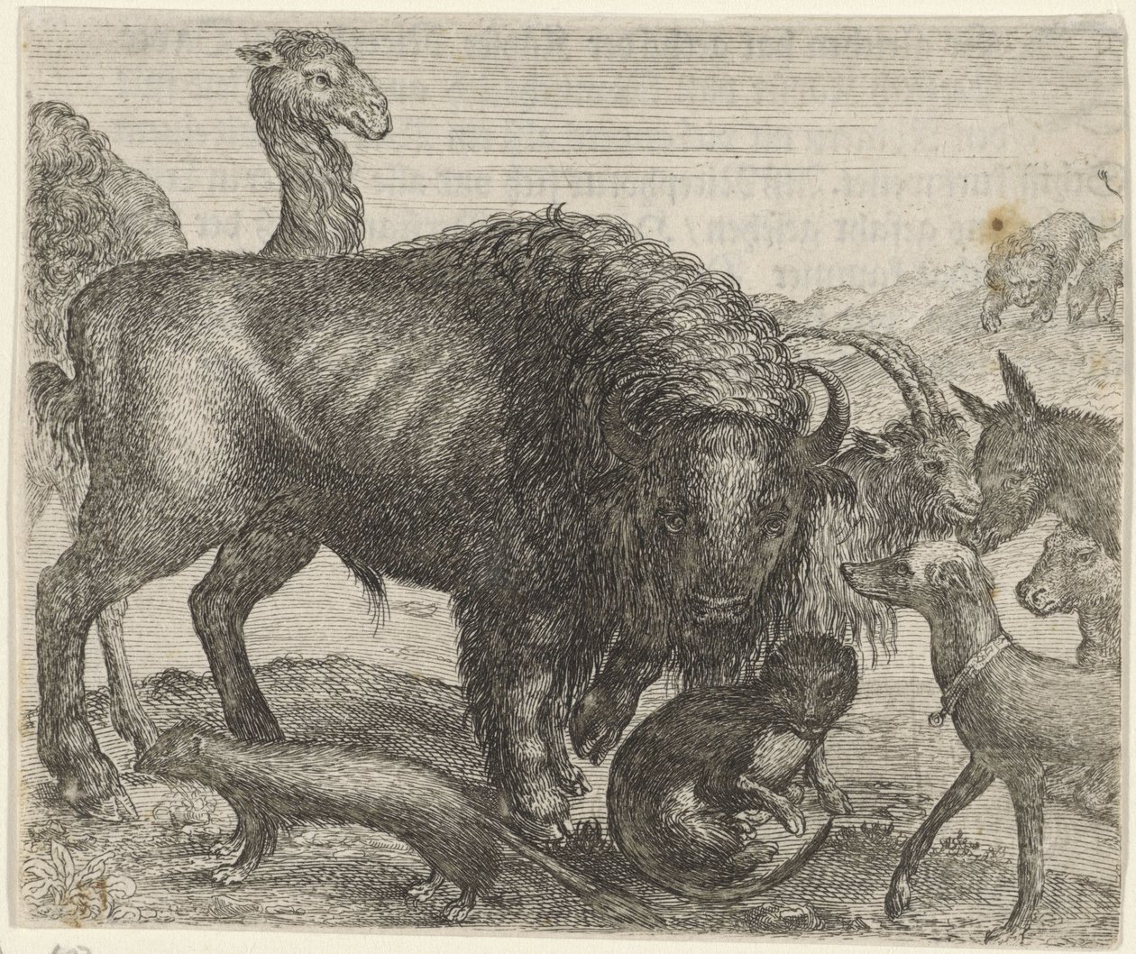 Bizon ve Diğer Hayvanlar Masalı by Egidius  Sadeler (II)