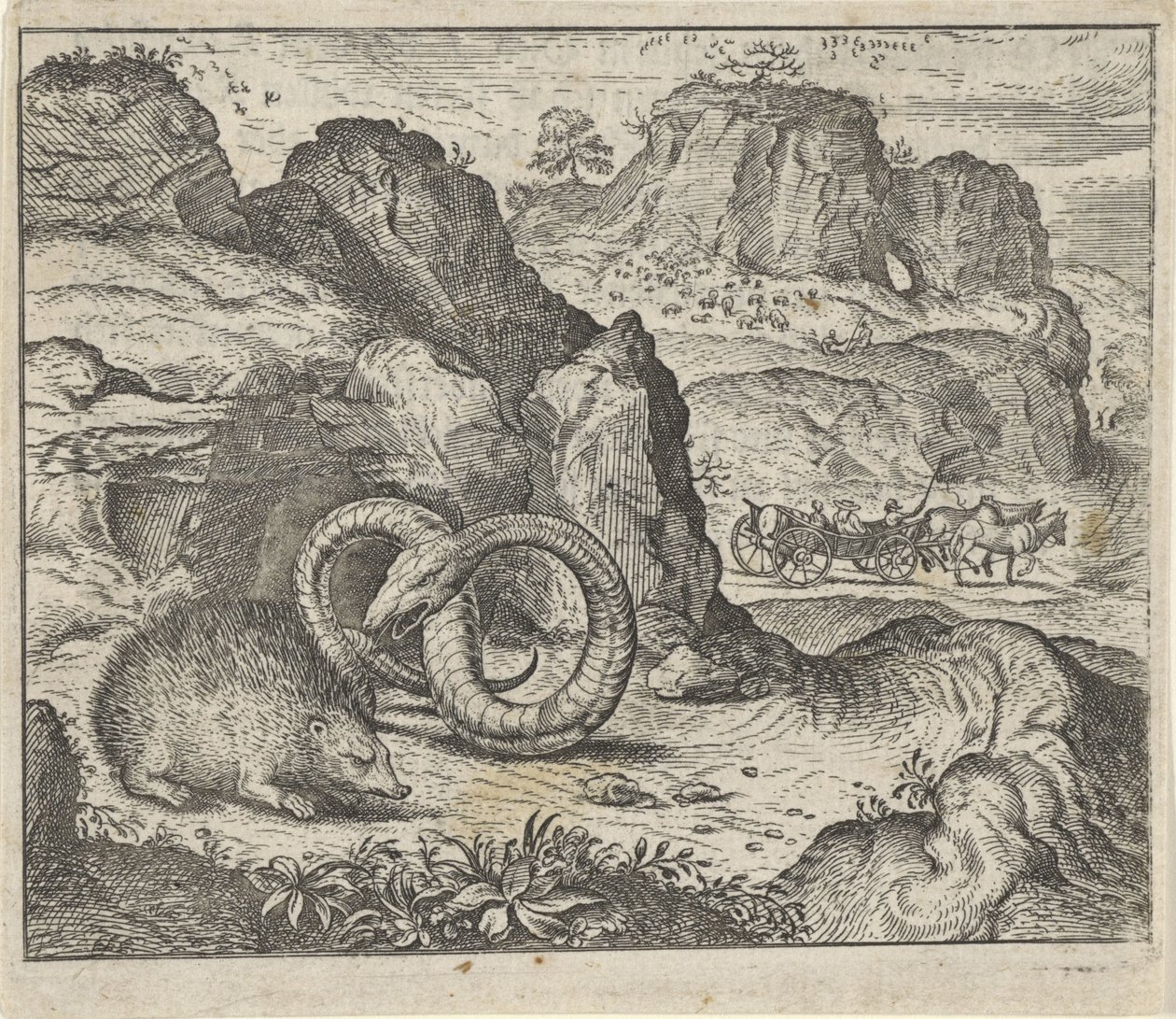 Kirpi ve Yılan Masalı by Egidius  Sadeler (II)