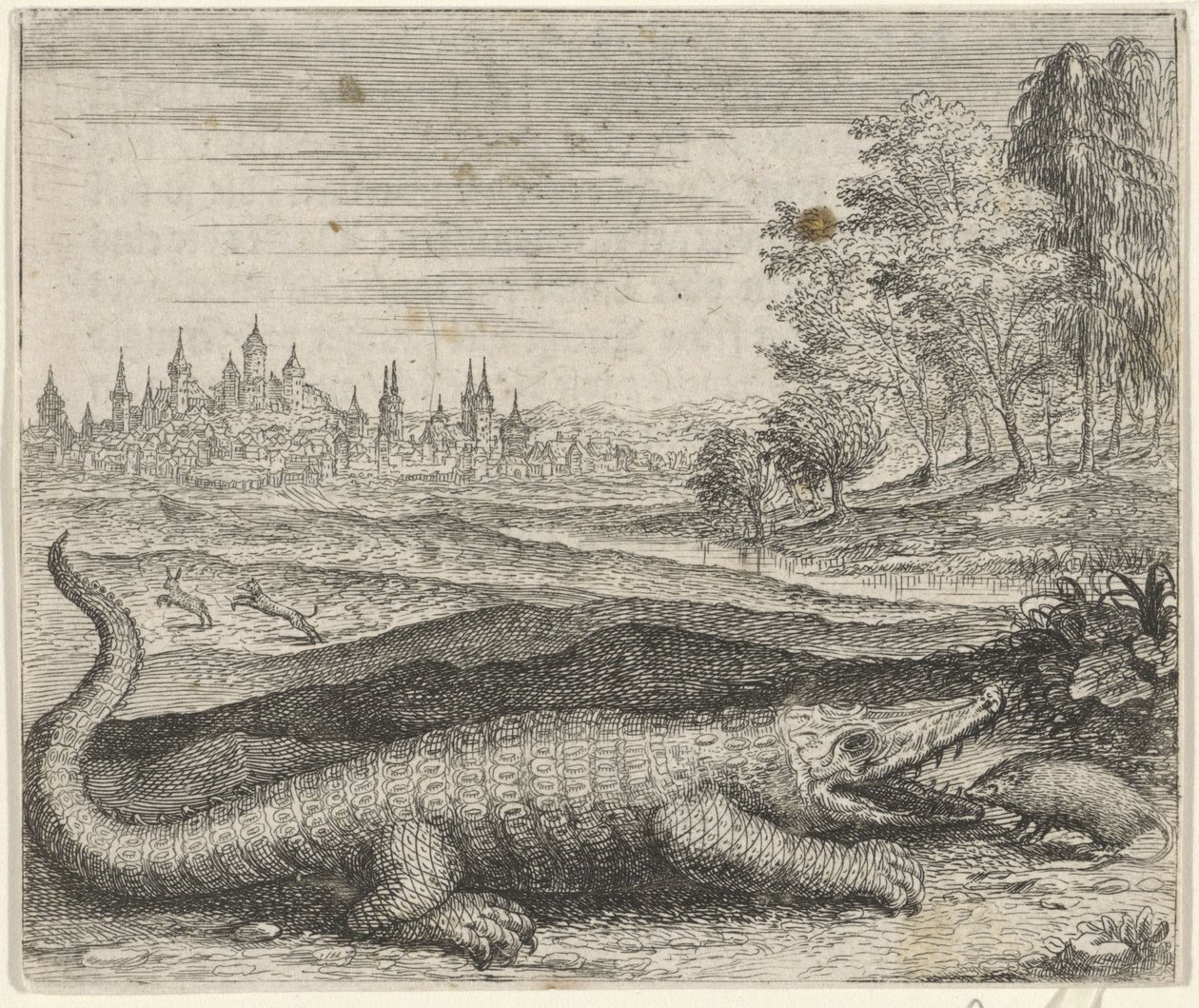 Timsah ve Firavun Faresi Masalı by Egidius  Sadeler (II)