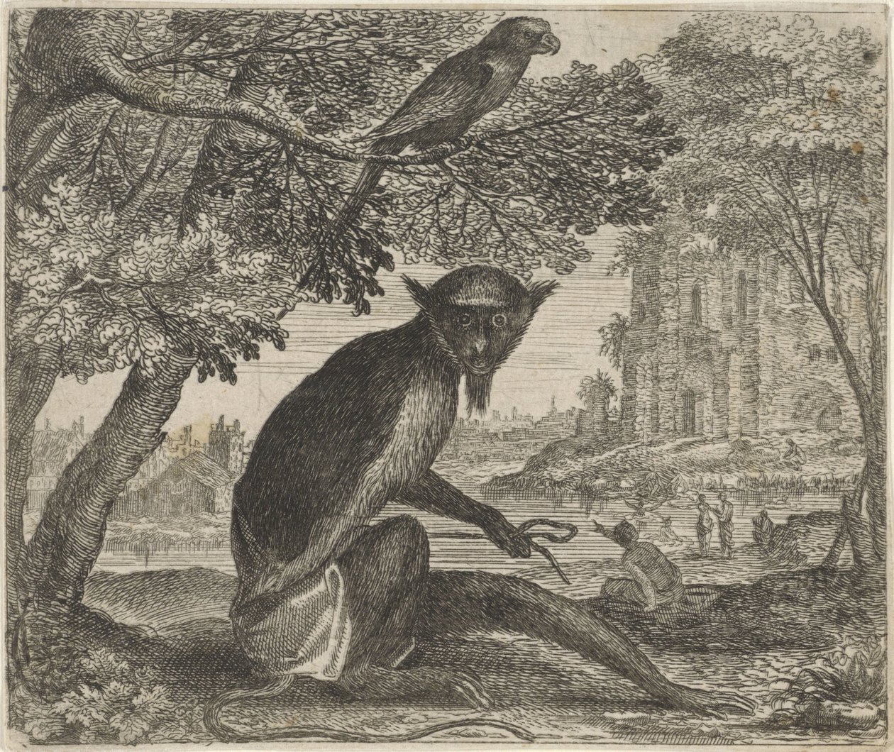 Papağan ve Maymun Masalı by Egidius  Sadeler (II)