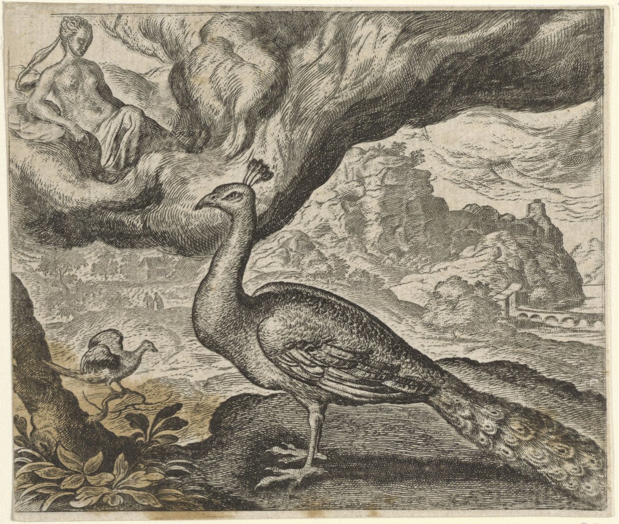 Tavus Kuşu ve Bülbül Masalı by Egidius  Sadeler (II)