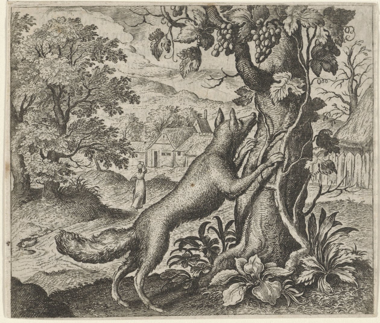 Tilki ve Üzüm Masalı by Egidius  Sadeler (II)