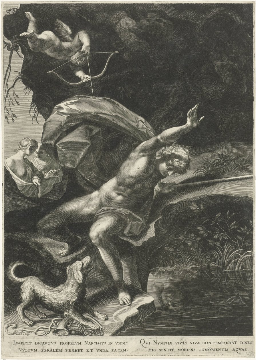 kuyudaki nergis Herkül ve Cerberus by Egidius  Sadeler (II)