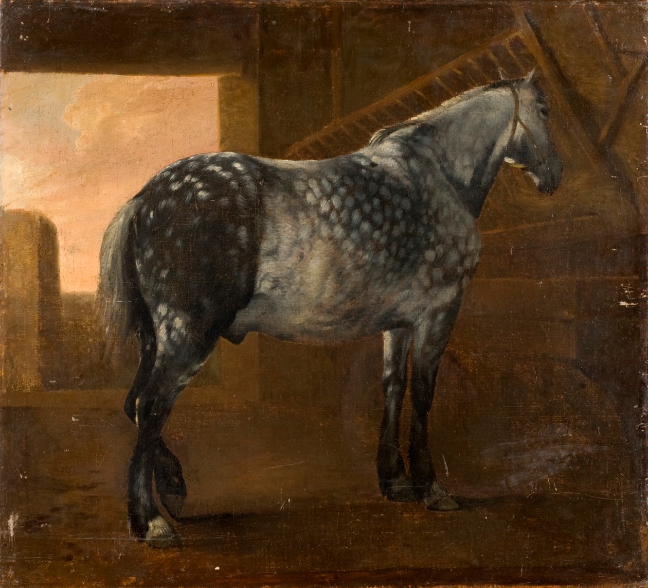 Benekli Gri At by Aelbert Cuyp