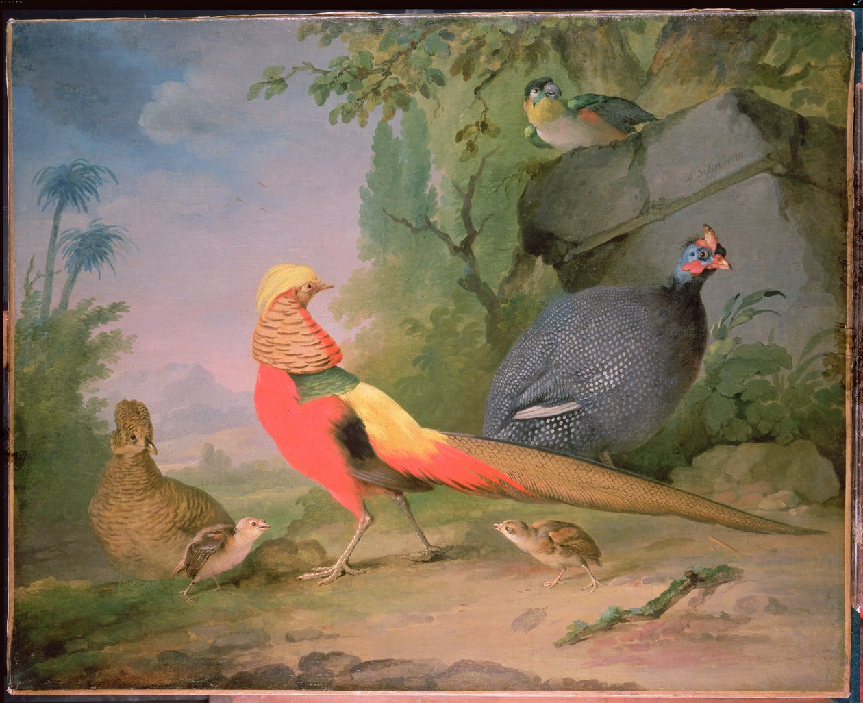 yabani kümes hayvanı by Aert Schouman