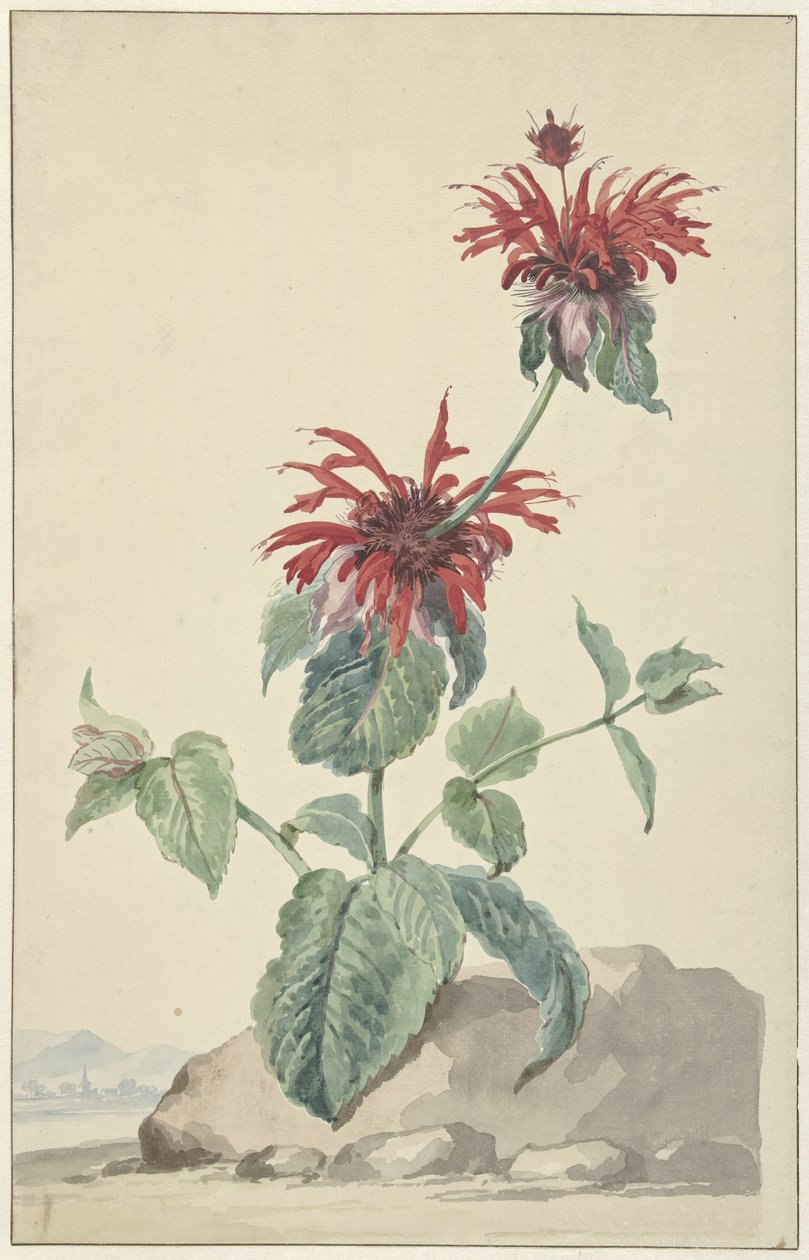 Peyzajda Kırmızı Bergamot by Aert Schouman (circle of)