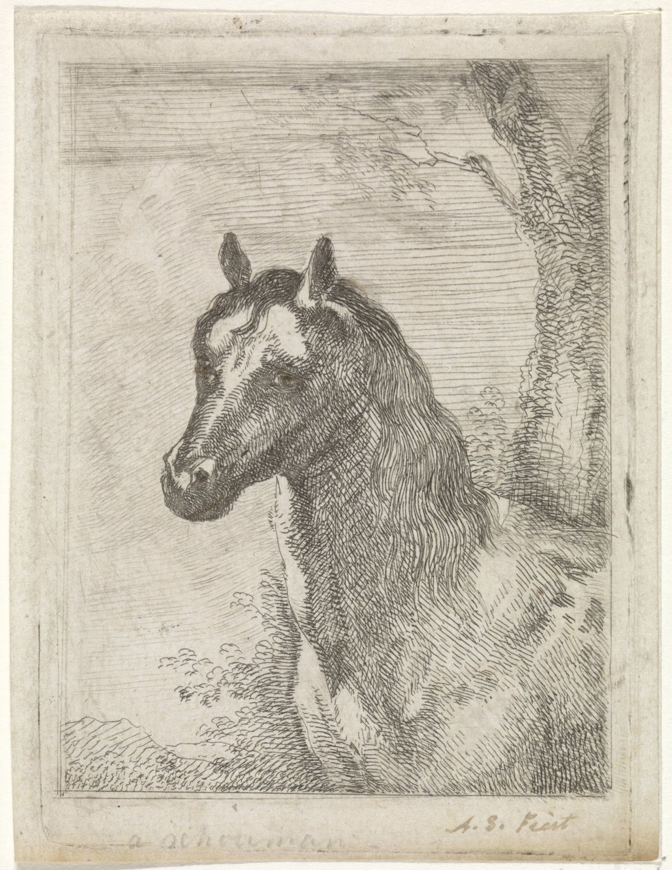 at kafası by Aert Schouman (signed by artist)