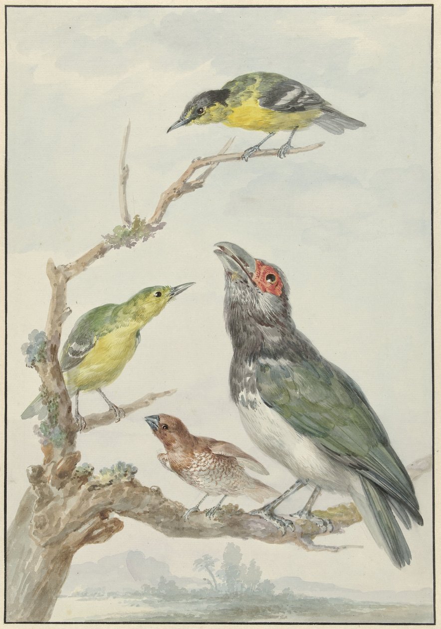 Dalda Dört Farklı Kuş by Aert Schouman