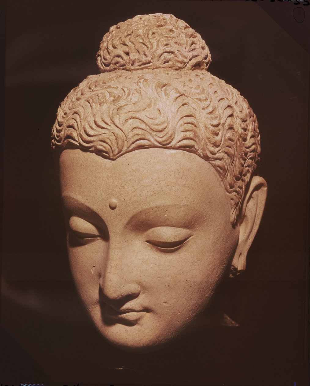 Buda