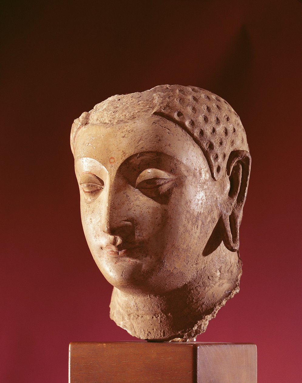 Head of Buddha, c.5th century (stucco with gesso und traces of paint) by Afghan School
