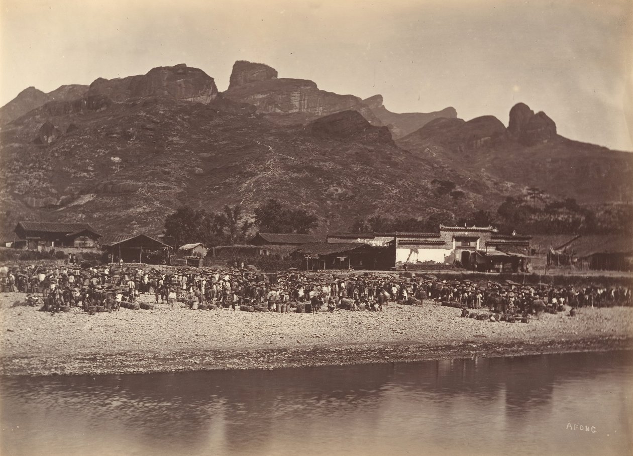 Ördek Pazarı, ca. 1869. by Afong Lai
