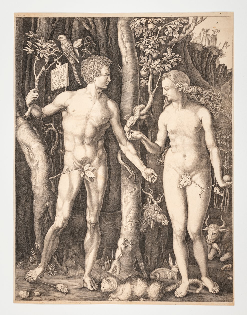  by After Albrecht Dürer