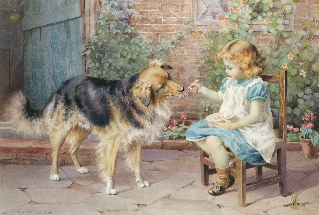 Dönüş - Fair Play by Agnes Gardner King