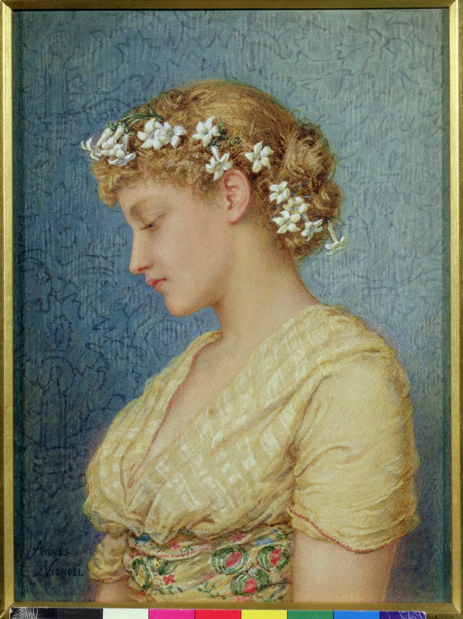 Stefanotis by Agnes Nicholl