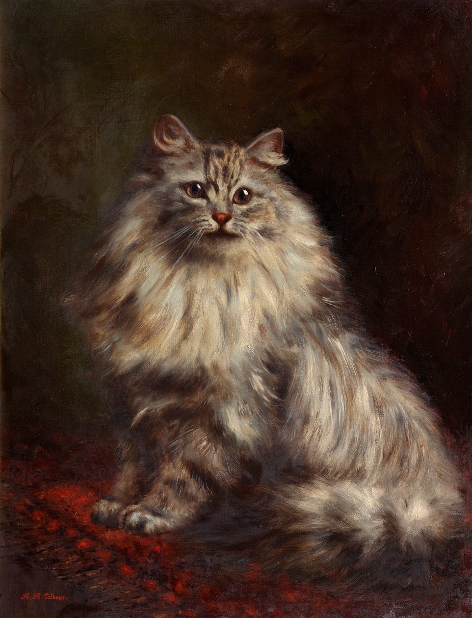 İran Kedisi, c.1908-20 by Agnes Augusta Talboys