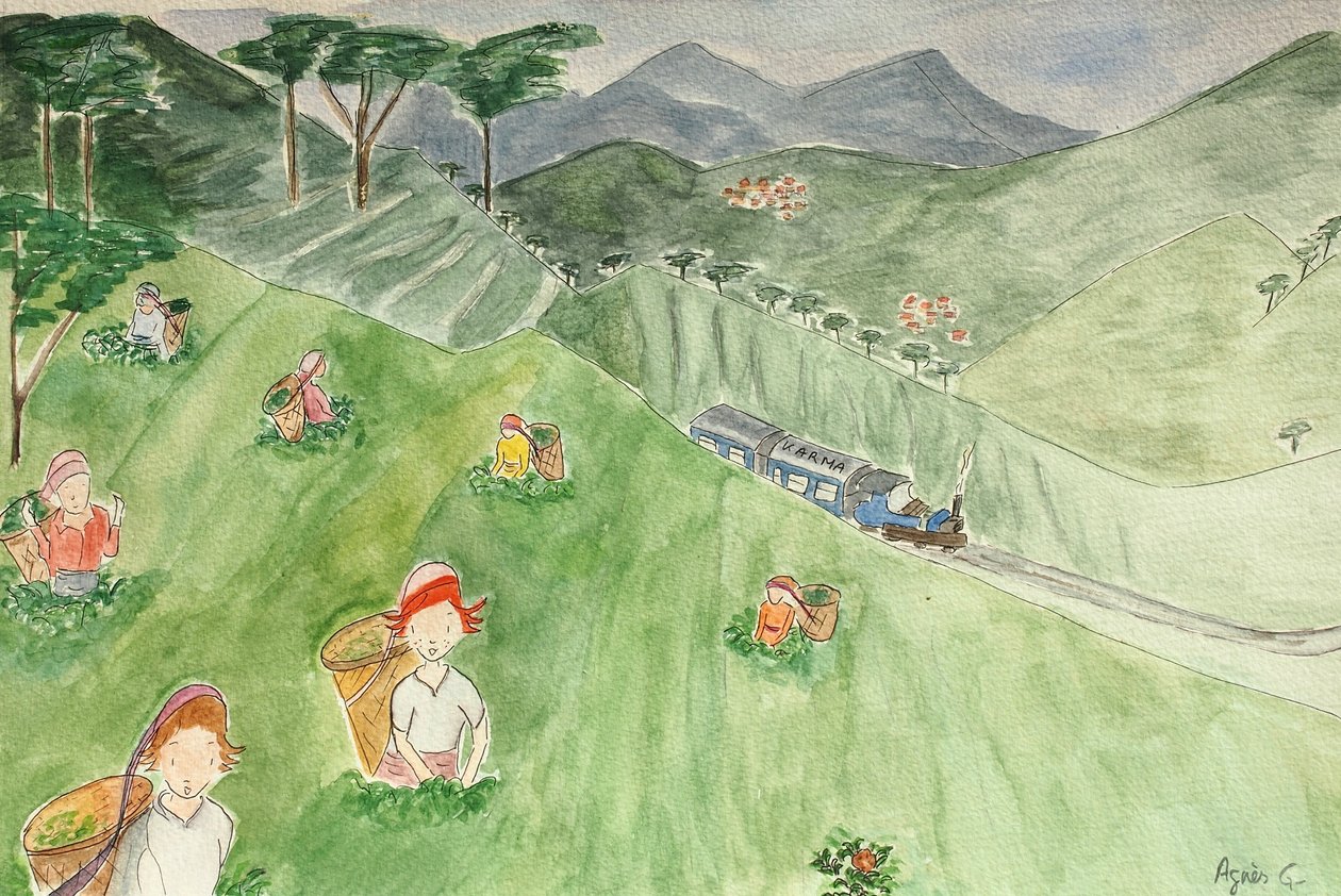 Yolculuk, Darjeeling 2015, kağıt üzerine suluboya by Agnes Girardon