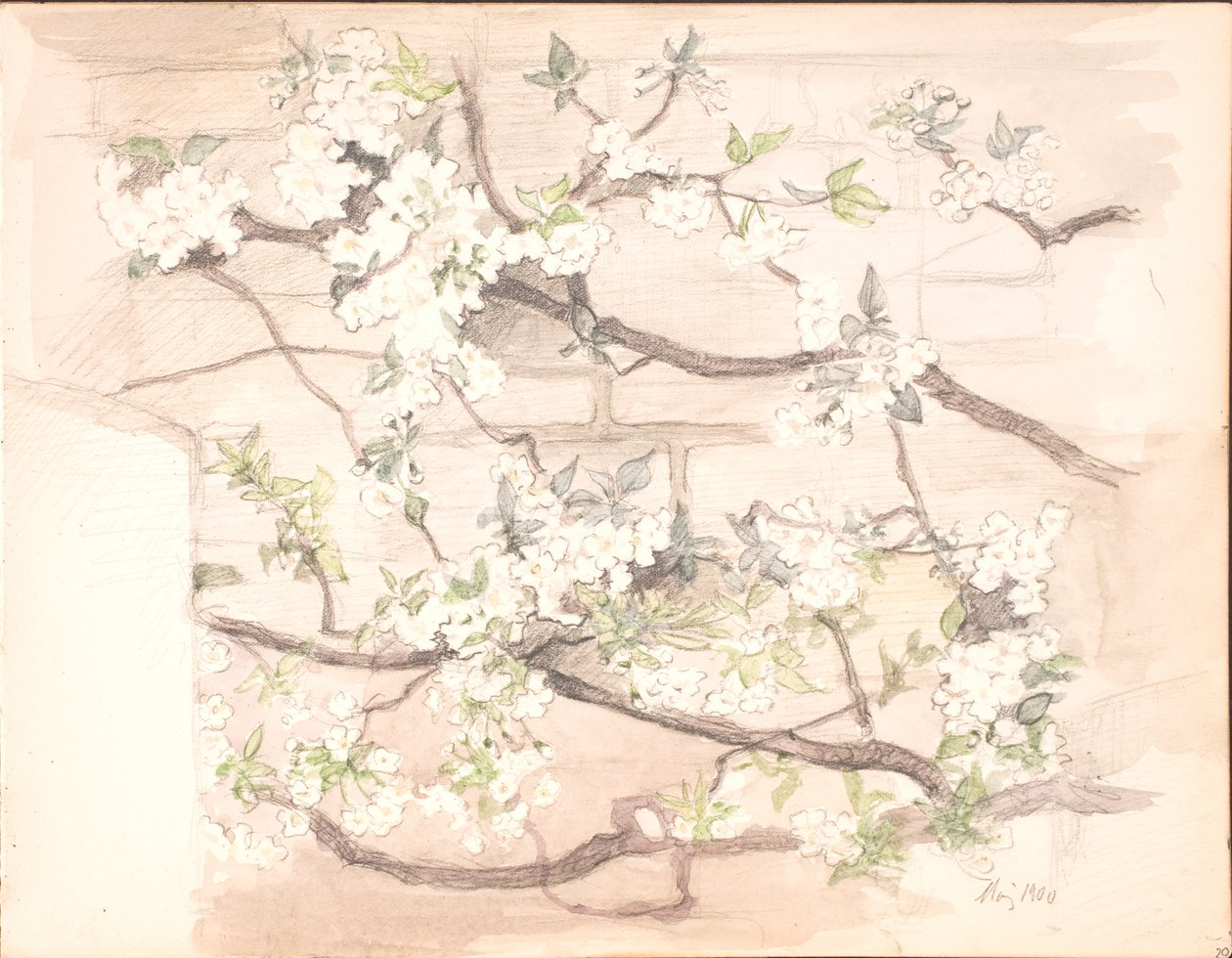 elma çiçekleri by Agnes Slott Møller