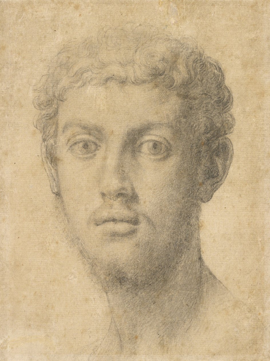  by Agnolo Bronzino