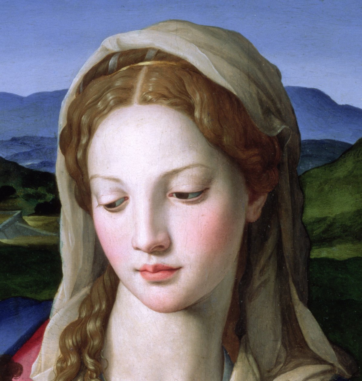St. Anne ve bebek St. John the Baptist ile Kutsal Aile, 82824 panel detayında c.1550 yağ by Agnolo Bronzino