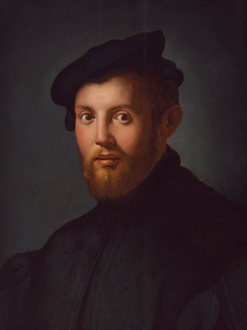 Elinde kitap olan genç bir adamın portresi by Agnolo Bronzino